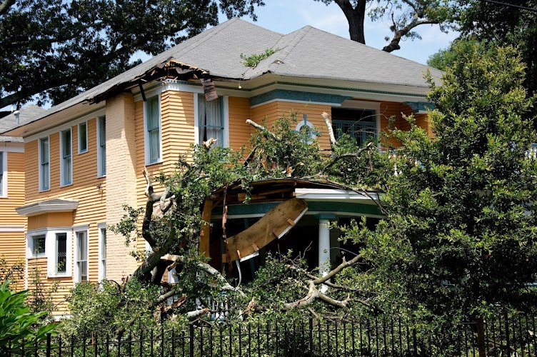 10420 national property loss co 1