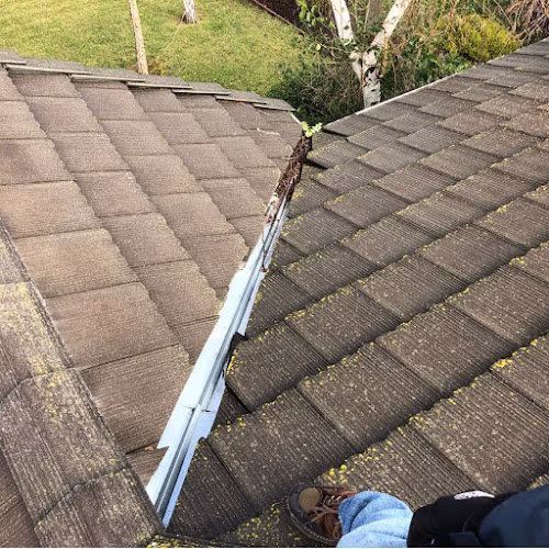 110120 roof doctors stanislaus county