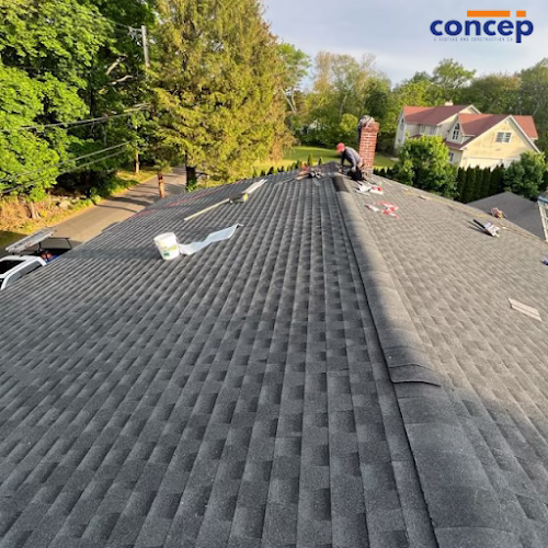 114667 concep roofs 1