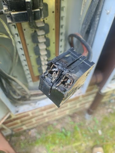 14298 wolf den electric 1