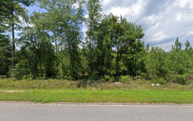 17524 mc duffie electric 768x480