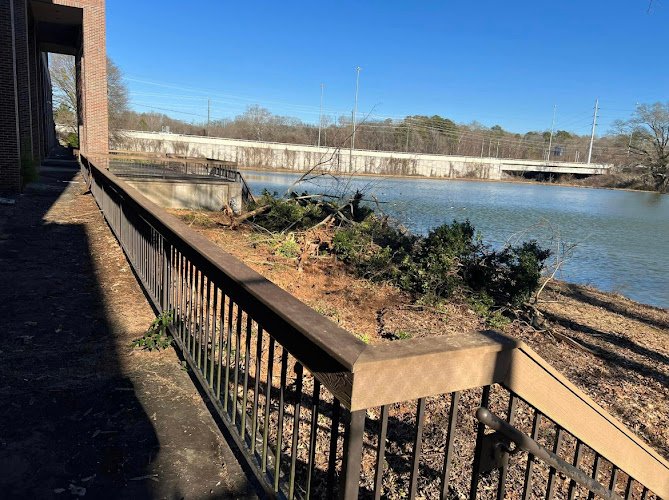 18808 stokes scapes 1