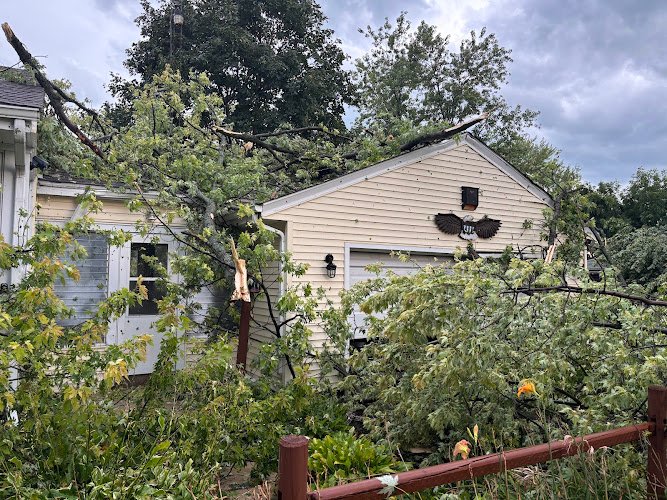 19233 asap tree pros inc