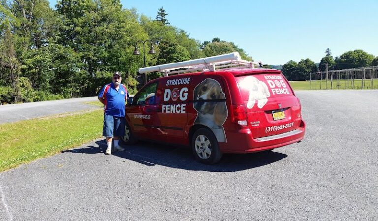 19694 syracuse dog fence 768x449