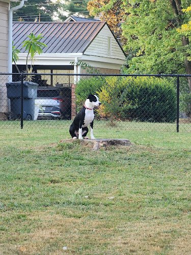 19826 dogwatch of middle tennessee