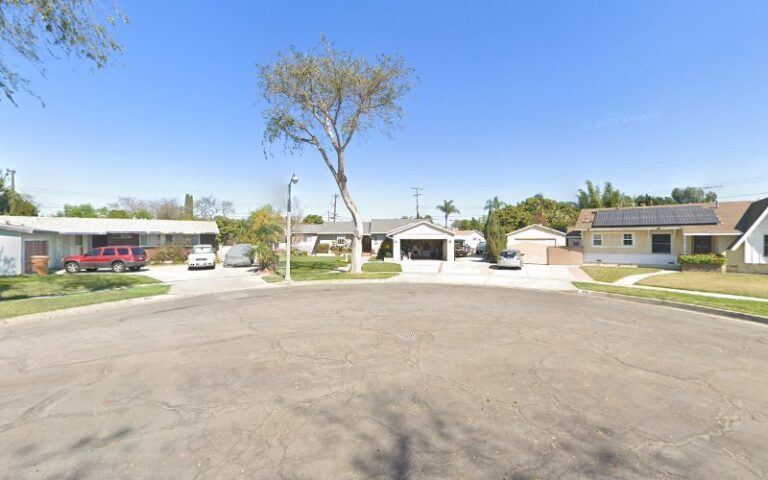 20049 accent automated gates 1 768x480