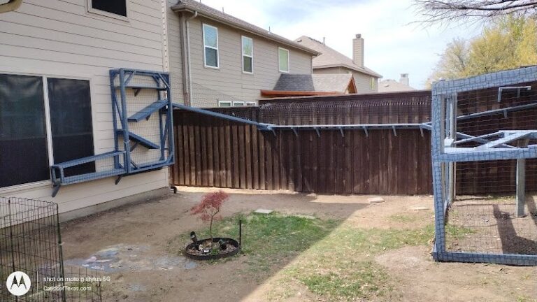 20464 380 handyman 768x432