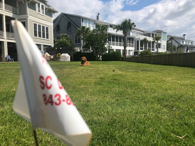 20735 south carolina dog fence 1