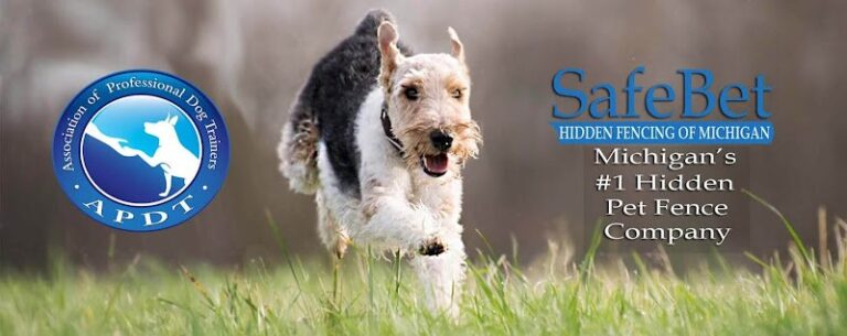 20825 safebet hidden fencing of michigan 1 768x305