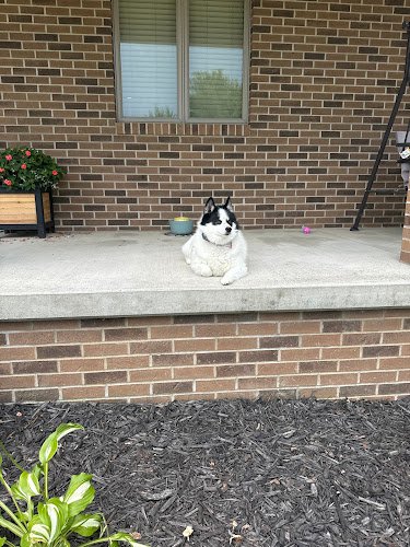 21092 invisible fence brand of cedar rapids 1