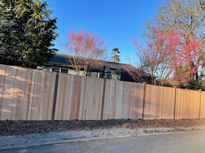 21318 green pro deluxe 1