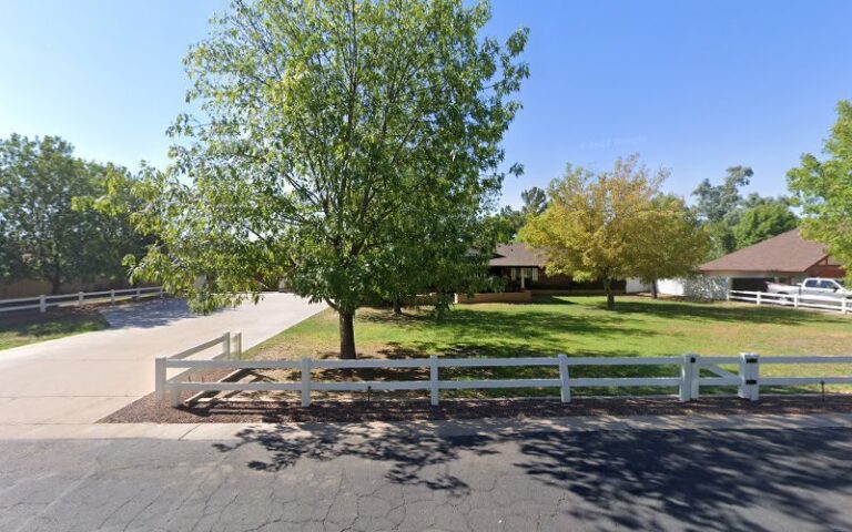 21873 shocky electric 768x480