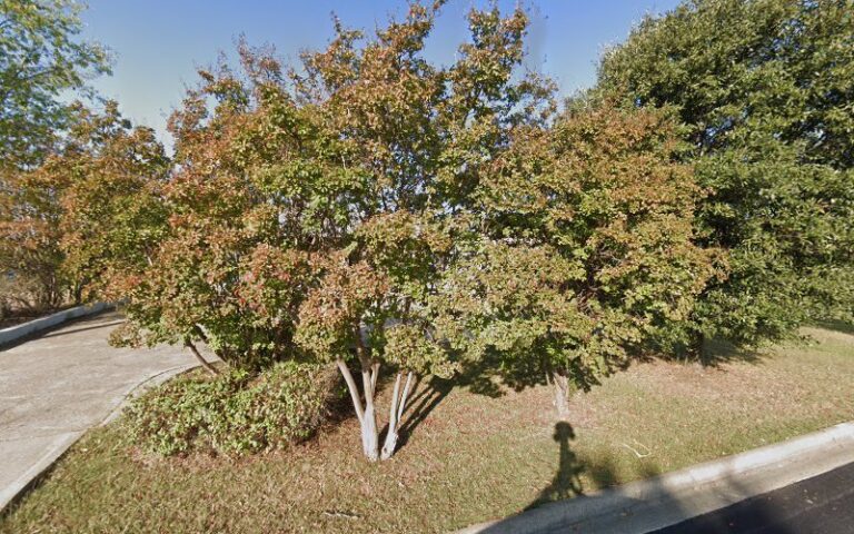 22203 dennis services 1 768x480