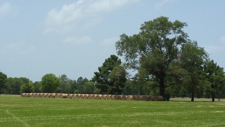 23718 milam electric co 768x432