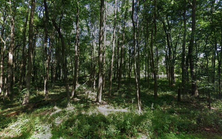 24109 scheidel electric 768x480