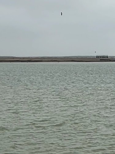 25341 international electric llc 1