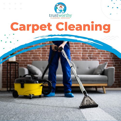 25583 trustworthy cleaning service 8211 austin 1