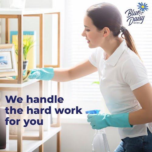 25622 blue daisy maids and cleaning service of austin