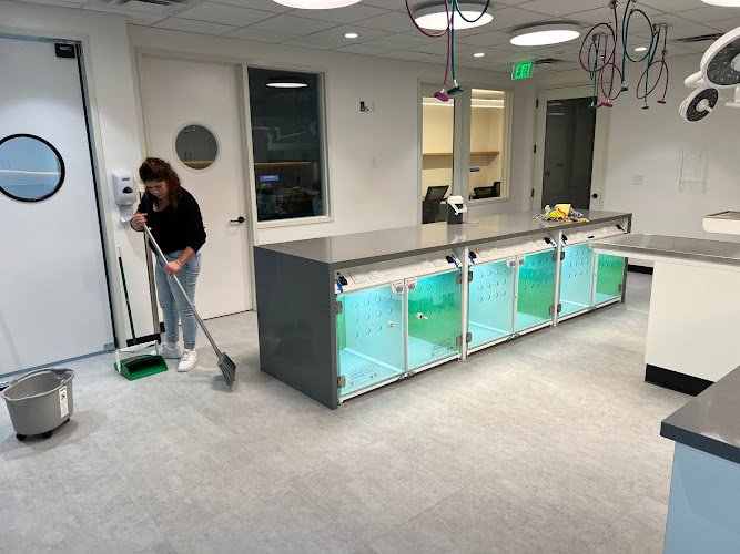 25654 pure magic maids 1