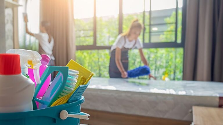 25756 maidforhaven 768x432