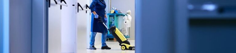 25815 lisass cleaning services 1 768x173