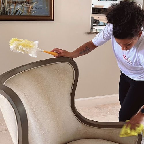 25824 maya cleaning services 1