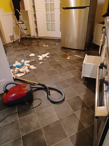 26444 thelmas house cleaning services 1