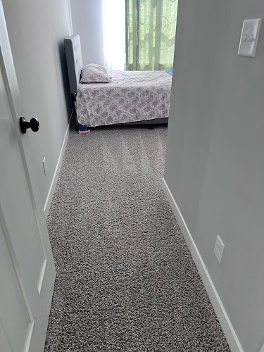 26528 indy cleaning pros