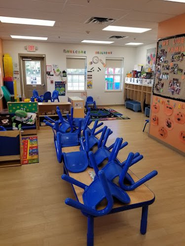 26561 neighbor clean 1