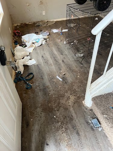 26672 pristine pig cleaning 1