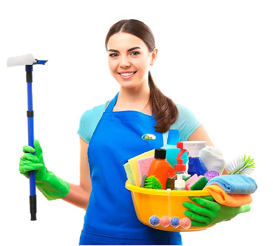 26805 house cleaning 4u 1