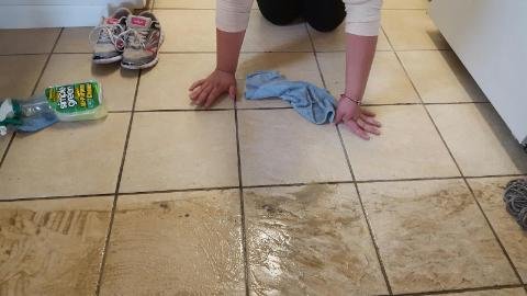 26826 cleanspace cleaning services puget sound 360 cleaning services llc