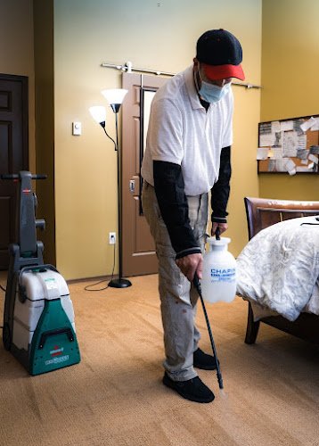 26896 bumble bee cleaning services 1