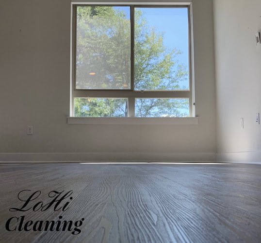 26991 lohi cleaning 1