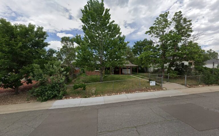 27061 blue flamingo cleaning 768x480