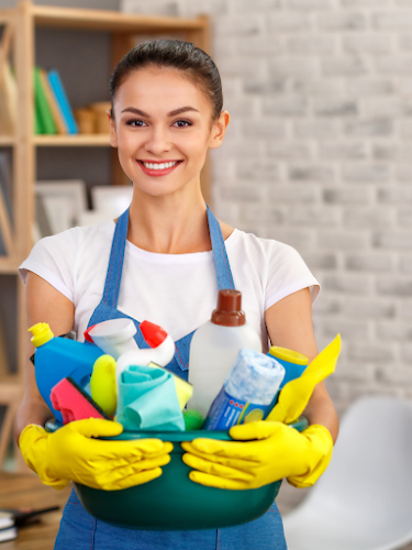 27229 spokhund cleaning nashville 1