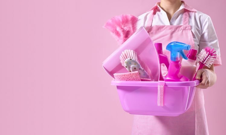 27816 sandris cleaning services 1