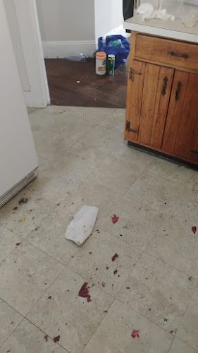 27828 neat nest cleaners 1