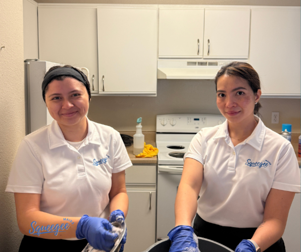 28090 squeegee maids 1