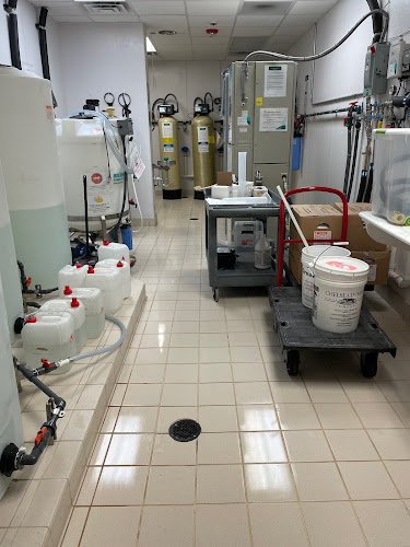 28198 dry green cleaning of detroit 1