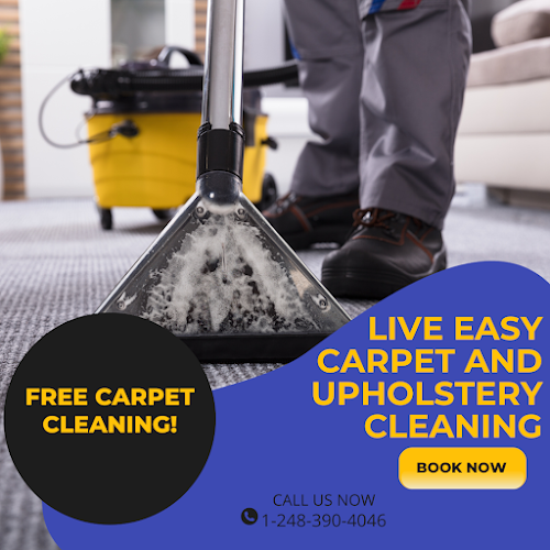 28300 live easy carpet and upholstery cleaning 1