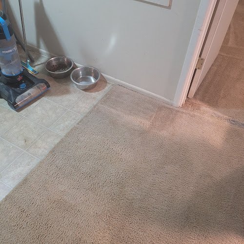 28546 stanley steemer 37