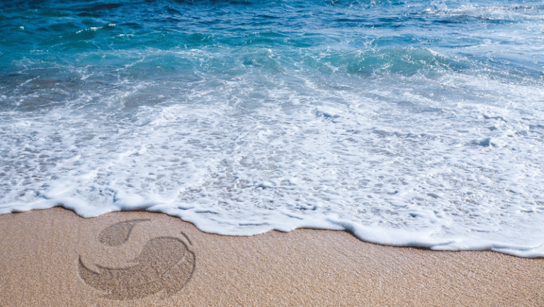 28570 holiday green cleaners laundry 1 768x433