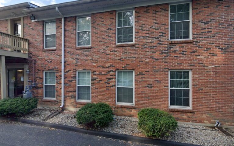 28585 mini maid of louisville 768x480