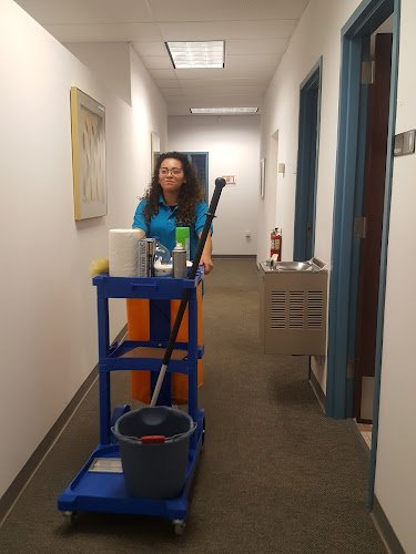 28931 mrs. clean llc 1