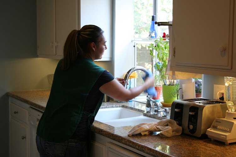 29231 mini mops house cleaning 1