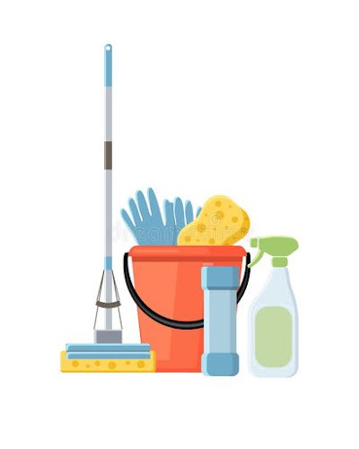 29269 rafaelas cleaning services inc 1