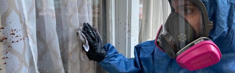 29307 reaper clean 1 768x239