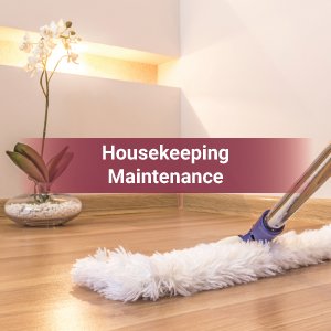 29417 housekeeping maid affordable 1