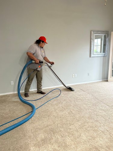 29478 beehive cleaning 1